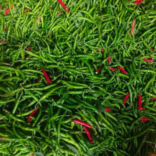 Green Chili, Pachaimilakai, Paccimirchi, Paccamulak, Hari Mirch - 1 pack