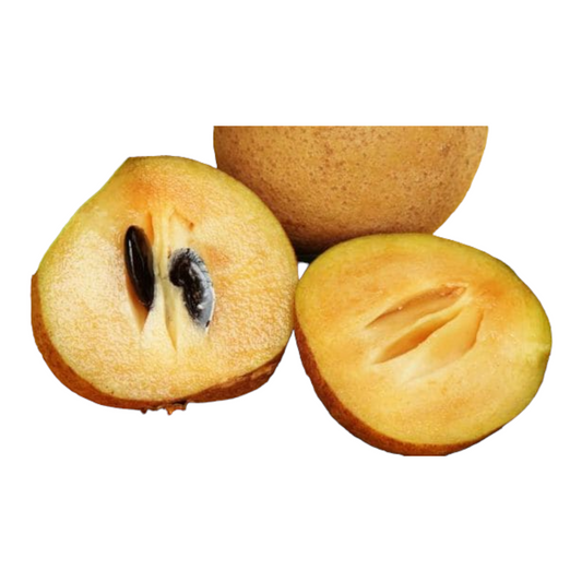 Sapota, Chikoo, Cappotta, Sapota, Sappotta, Chikoo - 1 pack
