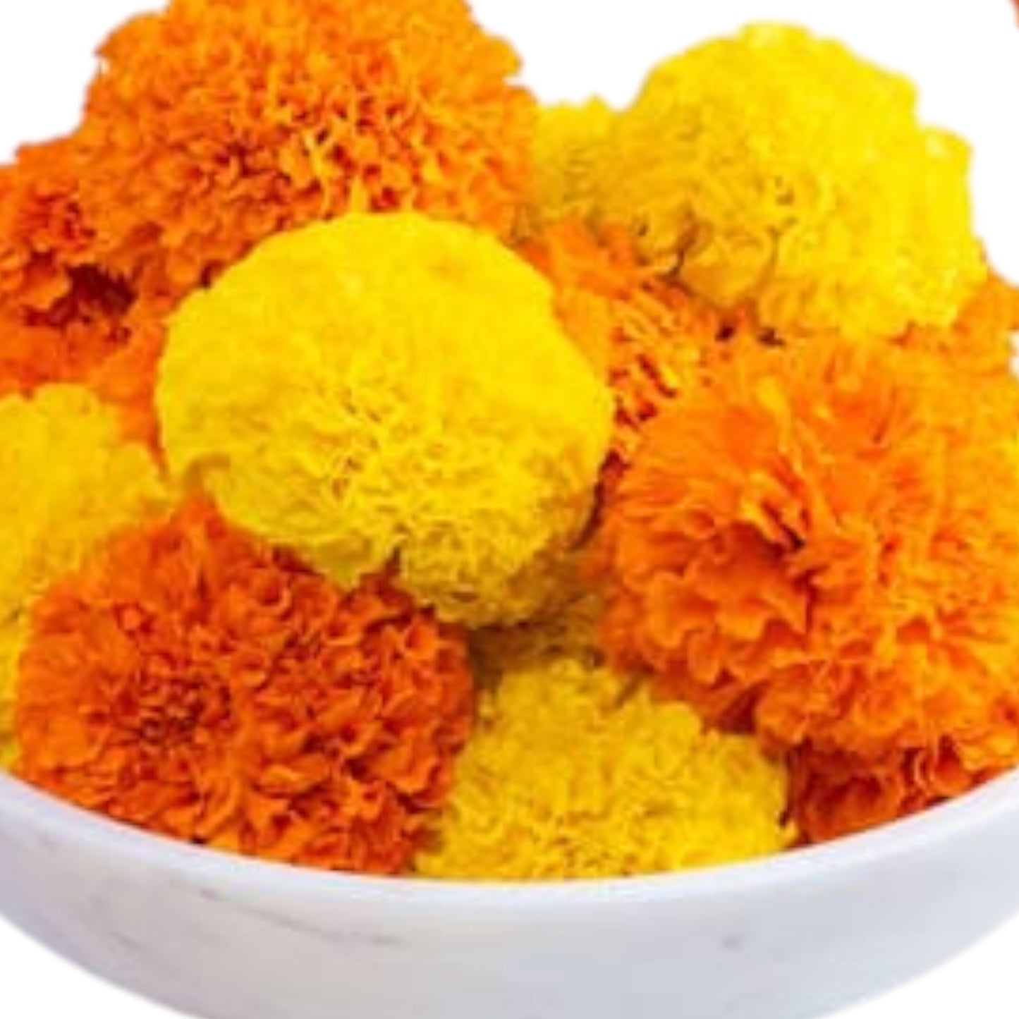 Fresh Marigold Flowers – Vibrant Puja & Decoration