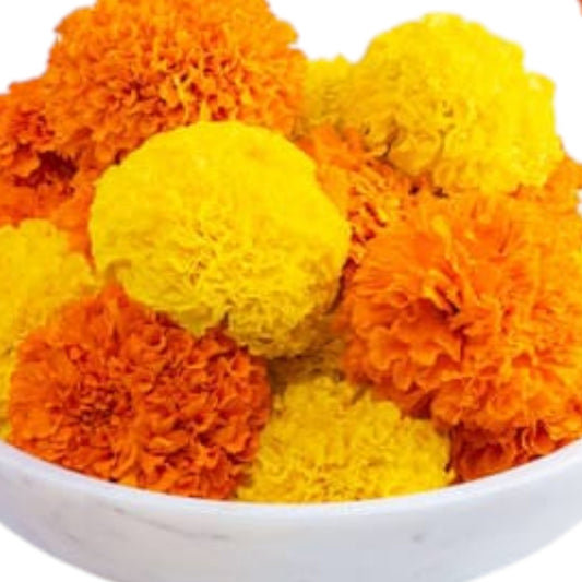 Fresh Marigold Flowers โ Vibrant Puja & Decoration