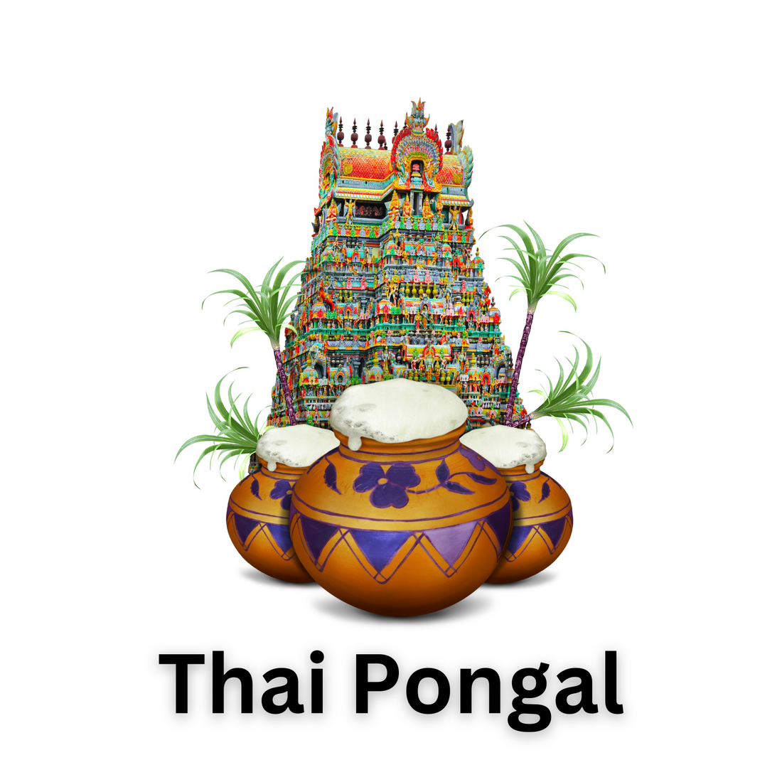 Thai Pongal Celebration