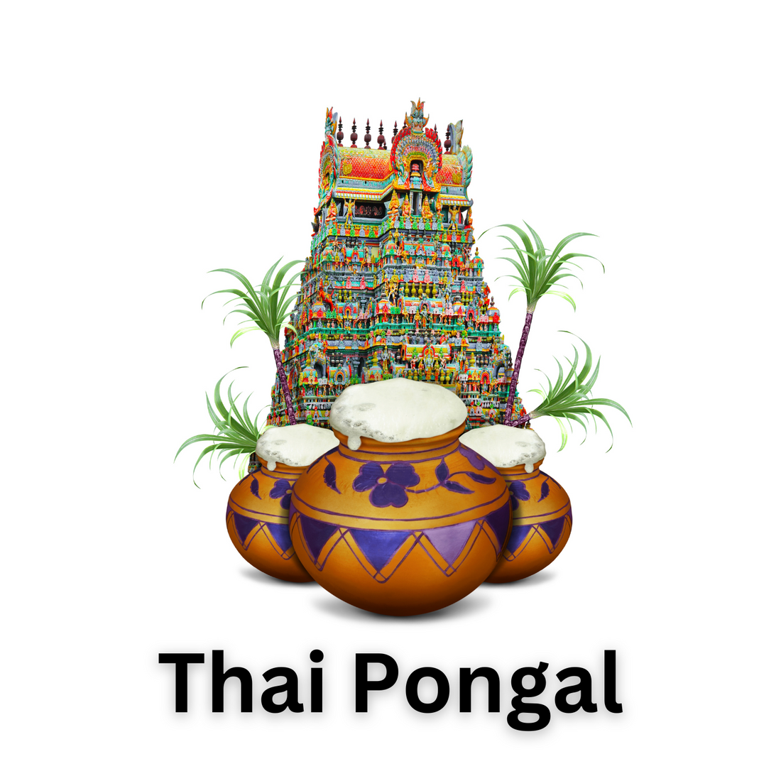 Thai Pongal festival with colorful temple, decorated pots, and sugarcane stalks for traditional celebration