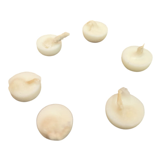 Nei Theepam – Set of 6