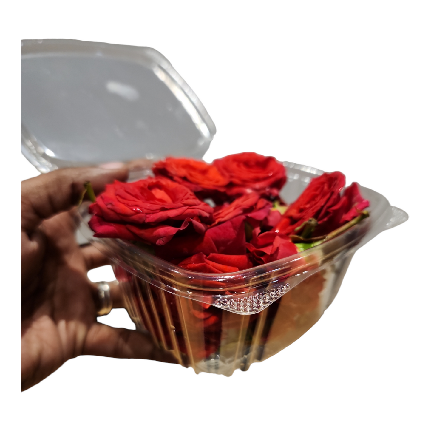 Button Rose Fresh Flower, Roja Pu, Gulabi Puvvu, Ros Puv, Gulab ka Phool - 1 Pack