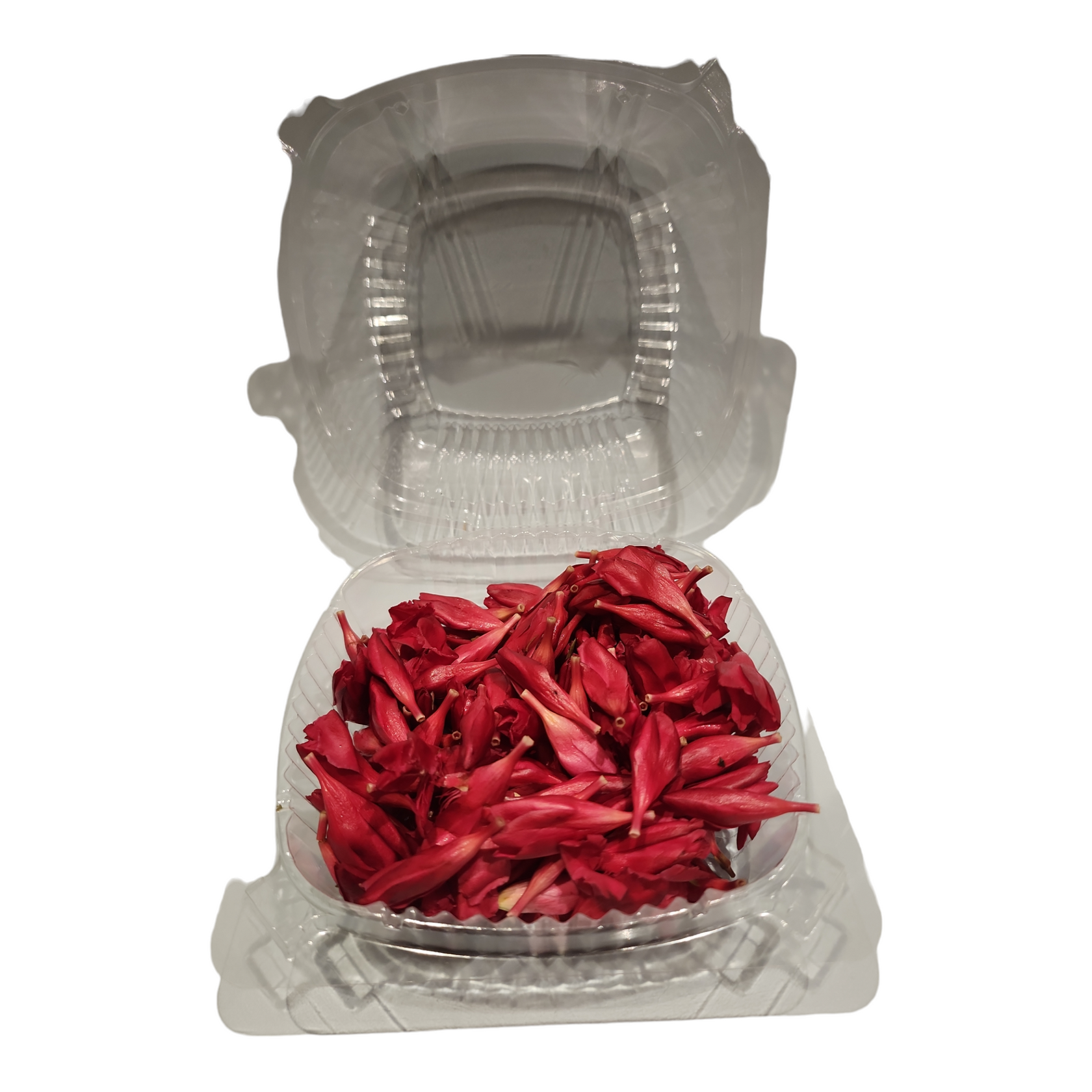 Buy Fresh Arali Flower Online | Clicks to Cart Florist – ClickstoCart Inc.