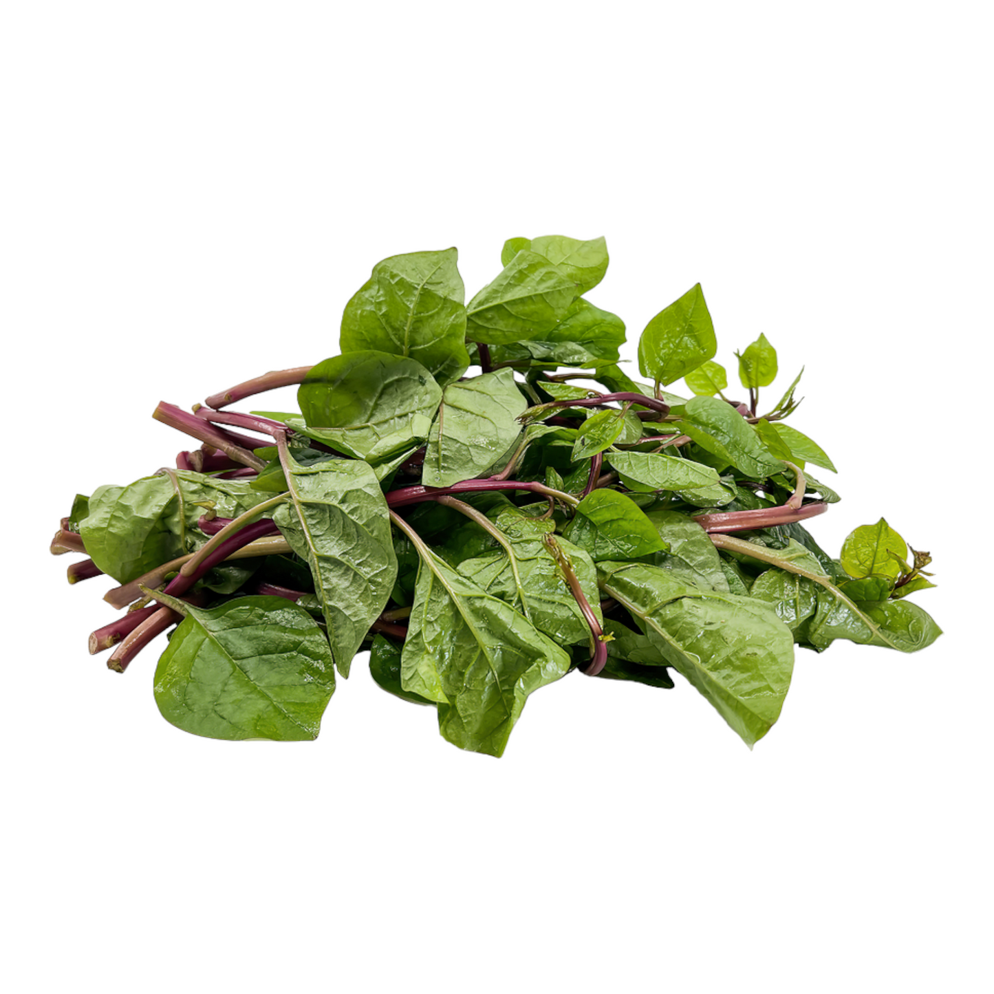 Malabar Spinach, Pasalai Keerai, Bachalakura, Pasala, Basala - 1 PK