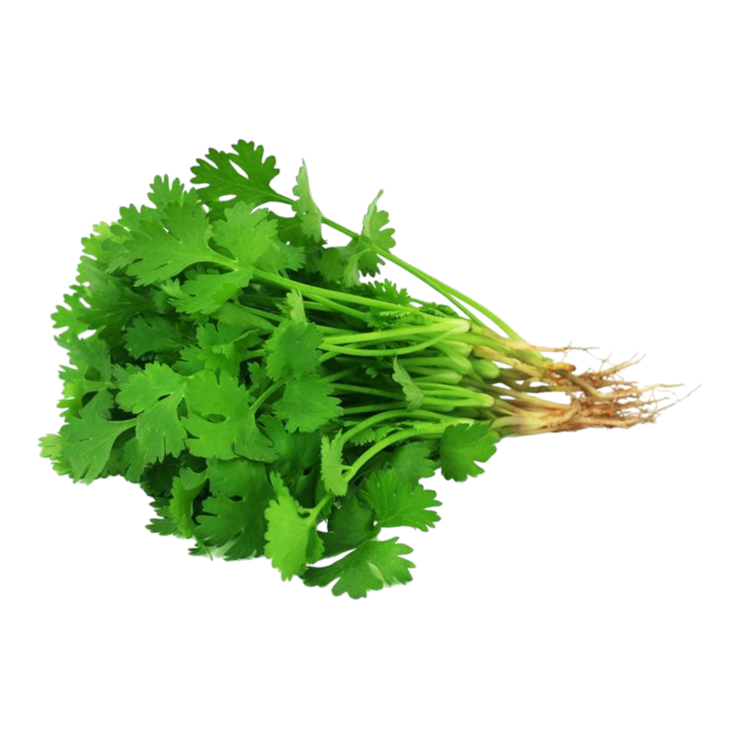 Coriander Leaves, Kothamalli, Kottimira, Malliyila, Dhaniya Pattha - 1 PK