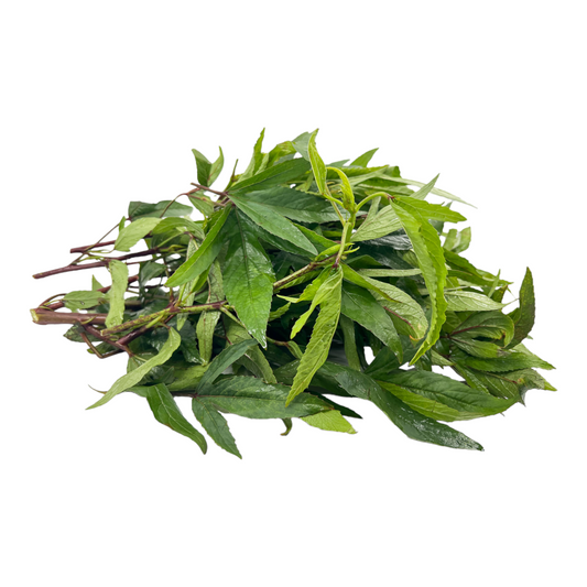 Sorrel leaves, Pulipu Keerai, Gongura, Puliveppu - 1 PK