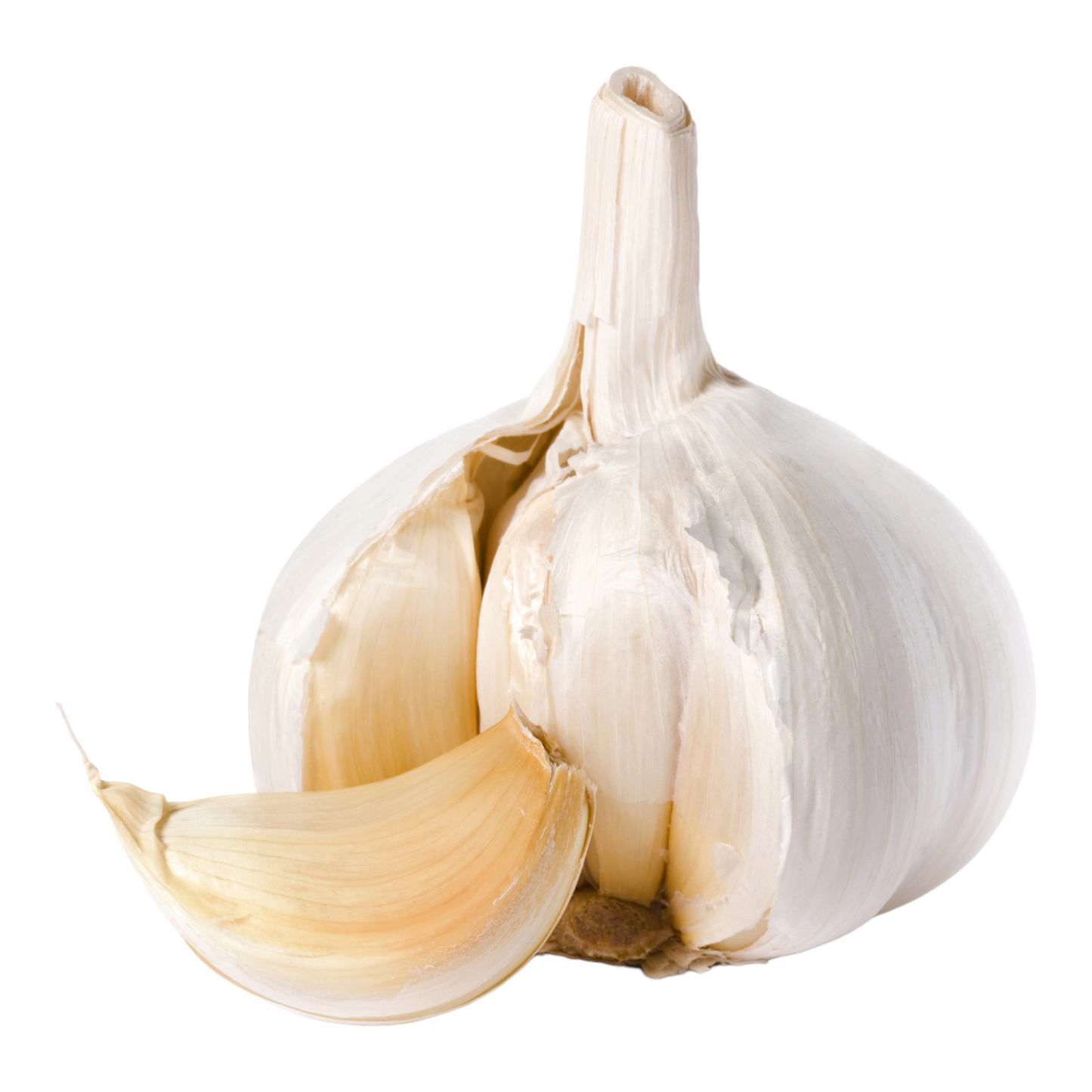 Garlic, Puntu, Vellulli, Veluttulli, Lehsun - 1 pack