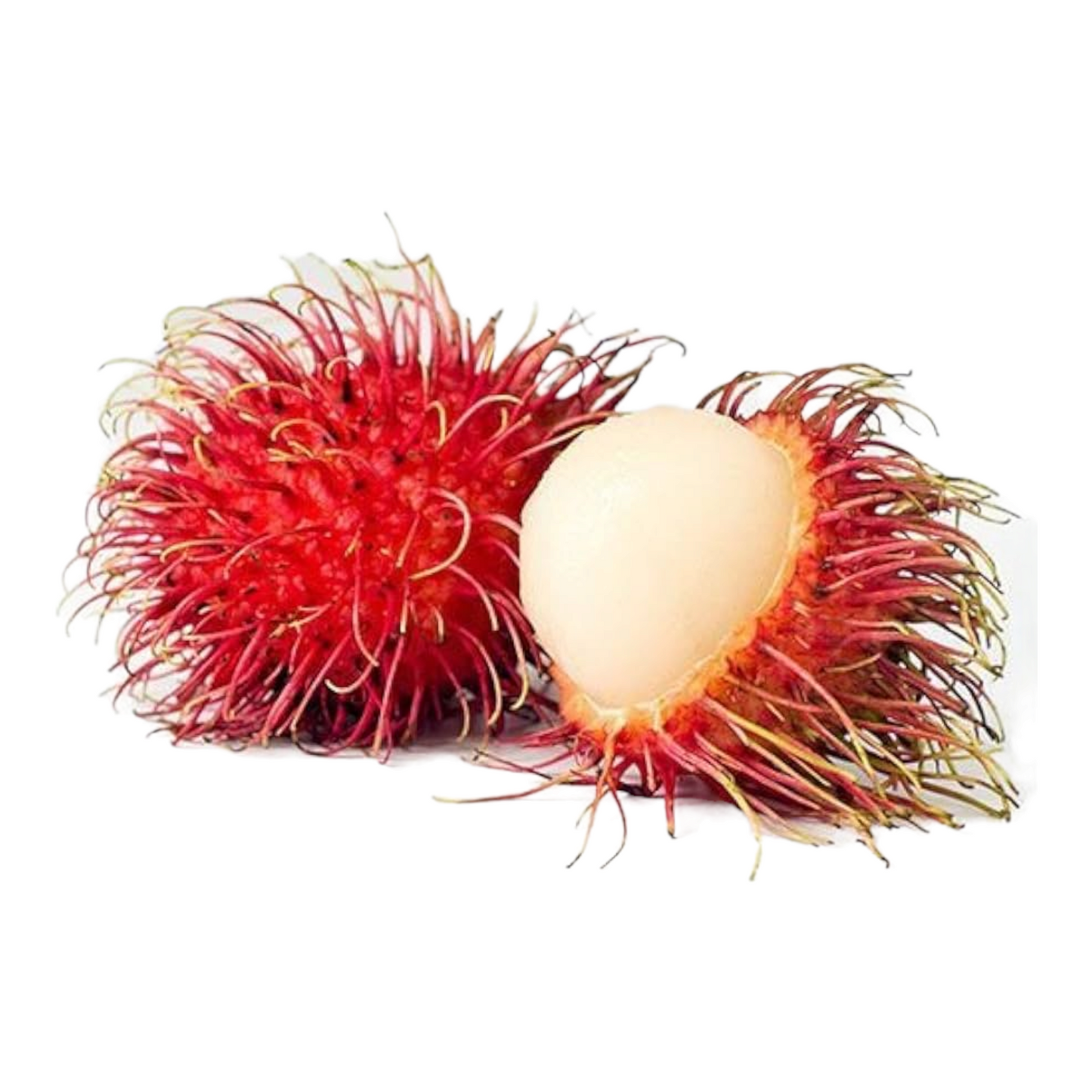 Rambutan, Mullanti, Mullanti, Mullampula, Rambutan - 1 pack