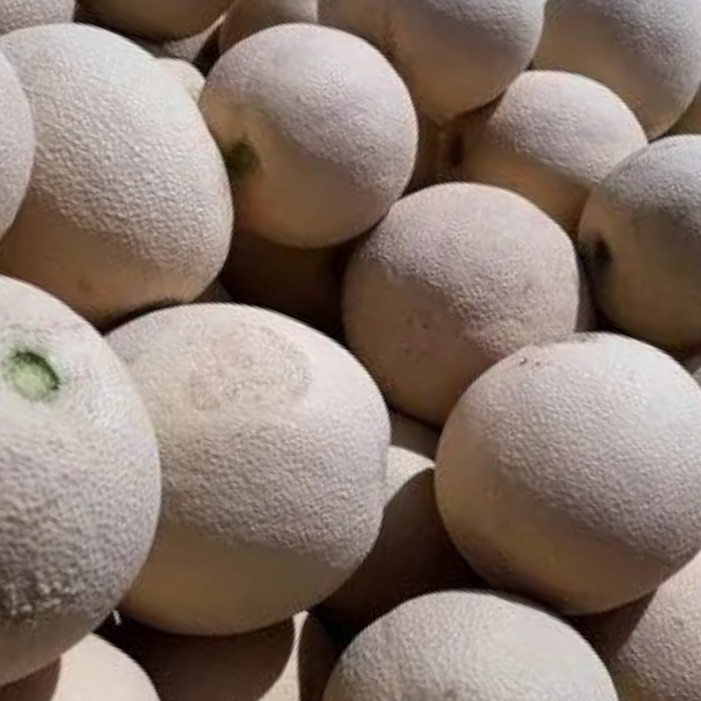 Muskmelon, Mulampalam, Pesalu, Kayppalam, Kharbuja - 1 each