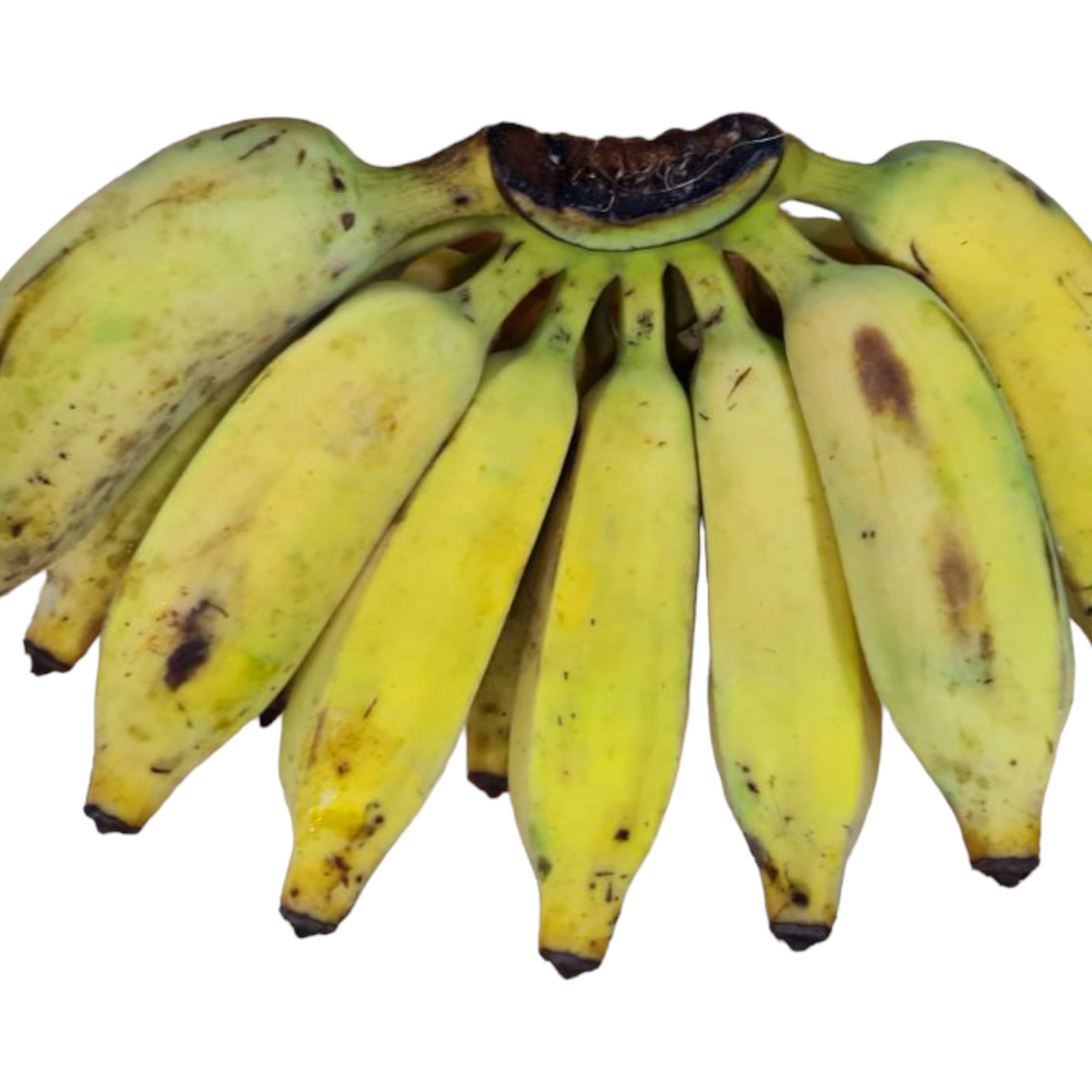 Karpuravalli Banana, Karpuravalli arati, Karppuravalli, Karapuravalli kela - 1 pack 4 each