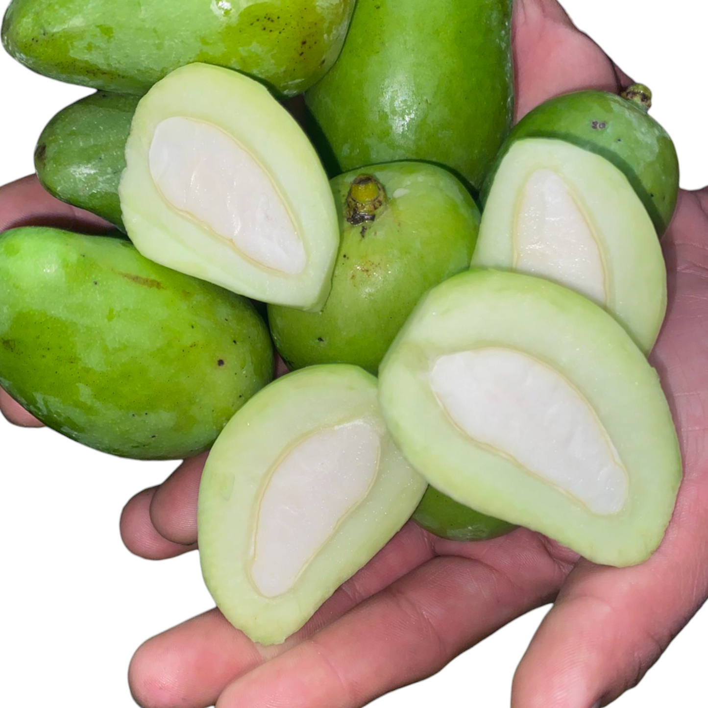 Green Mangoes, Maangai, Mamidi, Aam - 1 pack