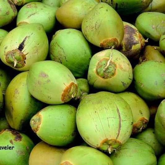 Tender Coconut, Ilanir, Thenelli, Nariyala pani - 1 Each