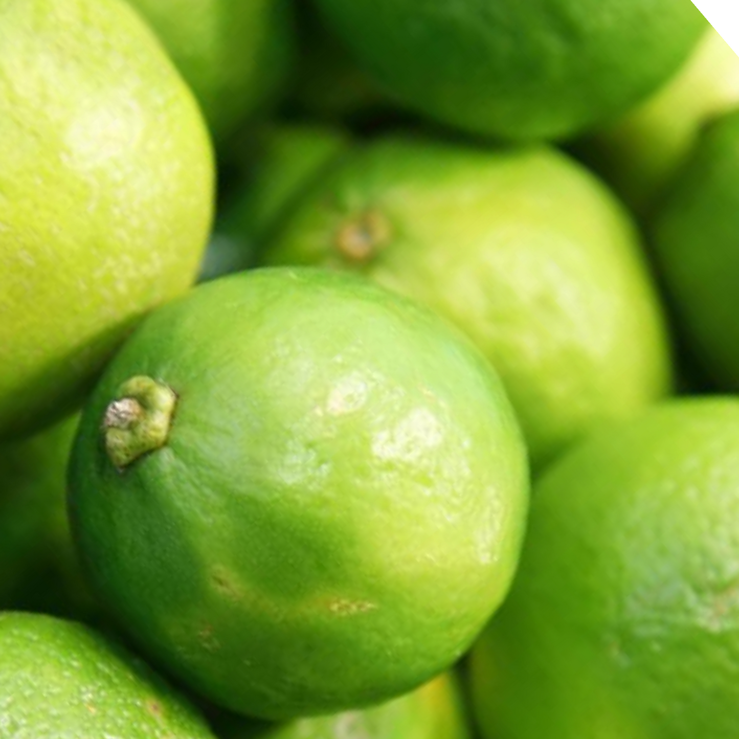 Green Lime, Elumicchai, Nimmakaya, Naranga, Nimbu - 5 per Pack