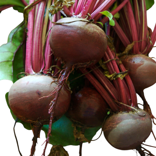 Beetroot