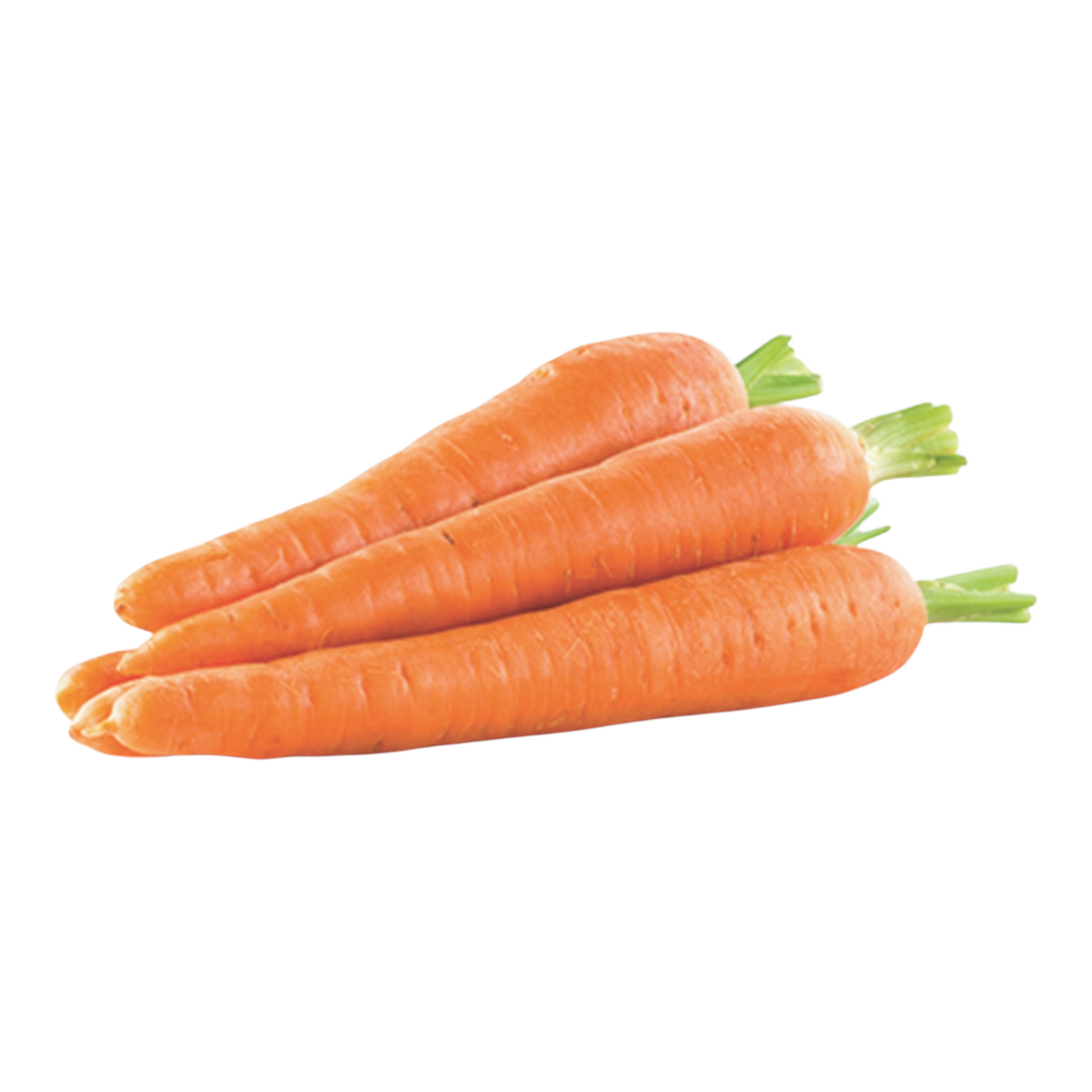 carrot