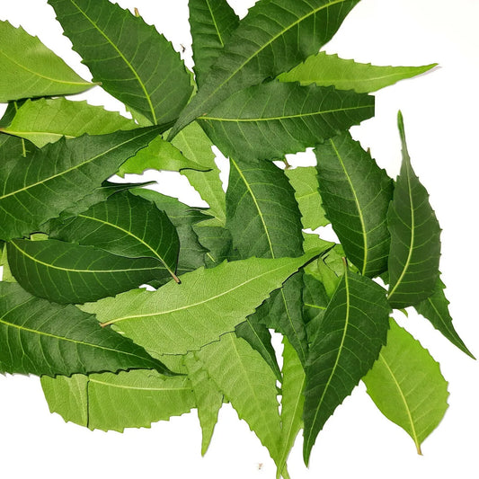 Neem Leaves, Vembu Ilai, Veppilai, Neem Patte - Small Box